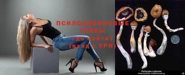 стаф Вяземский