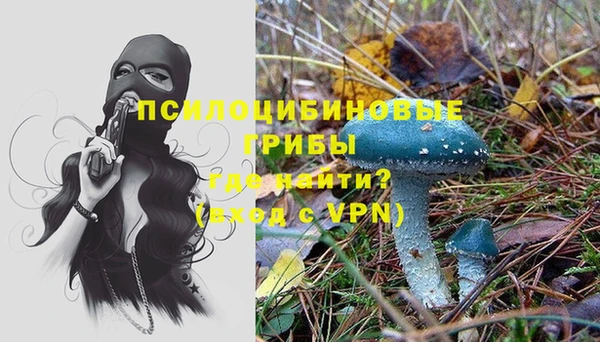 стаф Вяземский