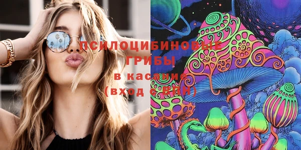 стаф Вяземский