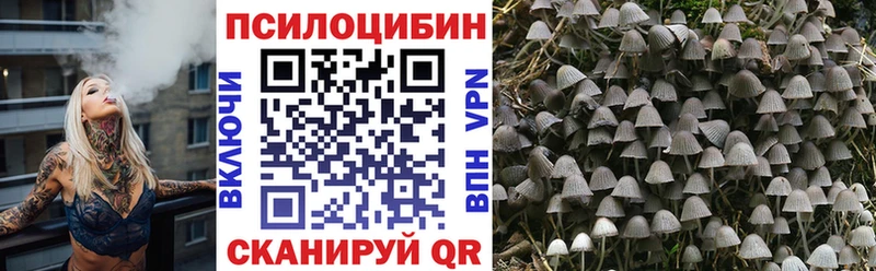 купить закладку это телеграм Галлюциногенные грибы MAGIC MUSHROOMS Ельня KRAKEN tor